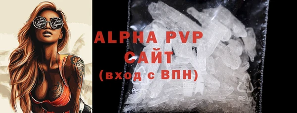 стафф Ладушкин