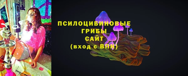 a pvp Кулебаки