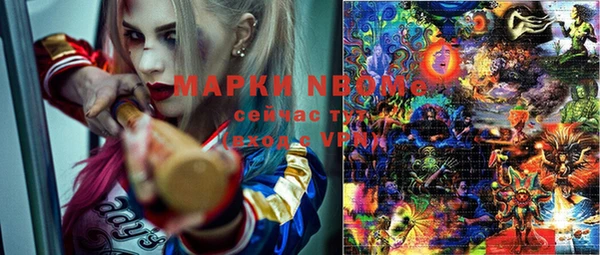 ECSTASY Кукмор