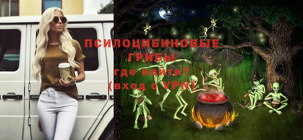 спиды Лагань