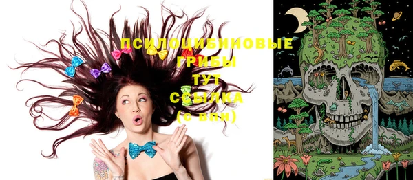 стафф Ладушкин