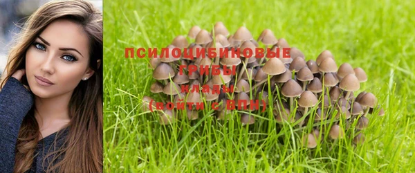 стафф Ладушкин
