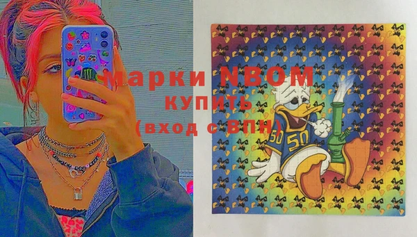 ECSTASY Кукмор