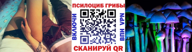 это состав  купить  цена  Чегем  Галлюциногенные грибы Cubensis 